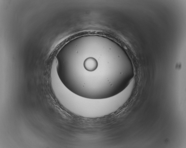 X0000114601352200911161344