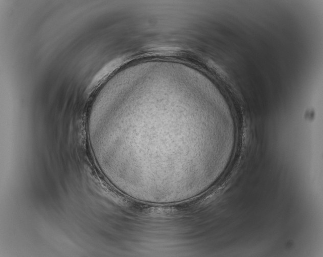 X0000114601354200911161344