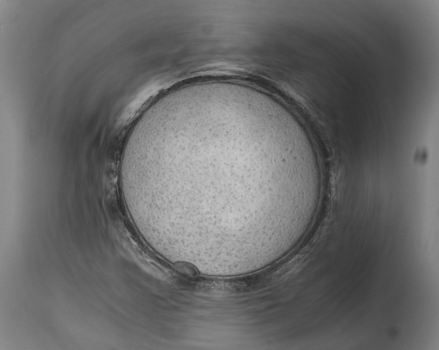 X0000114601355200911161344