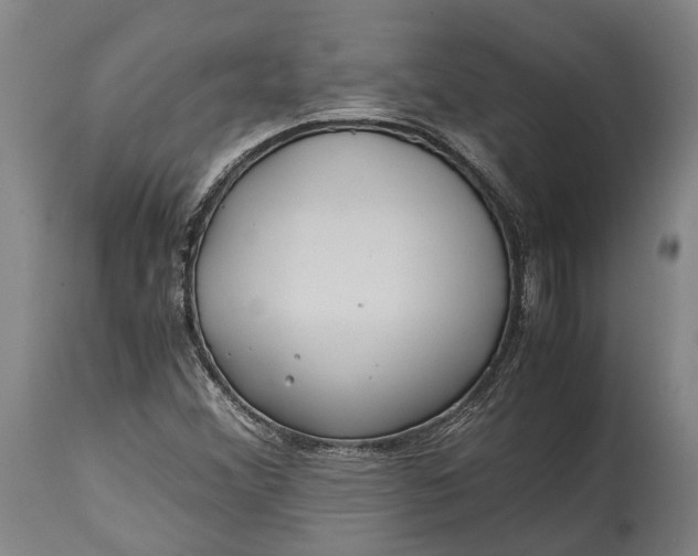 X0000114601356200911161344