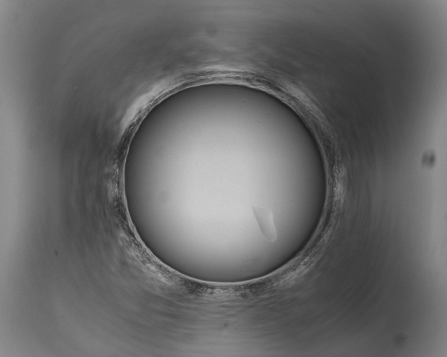 X0000114601357200911161344