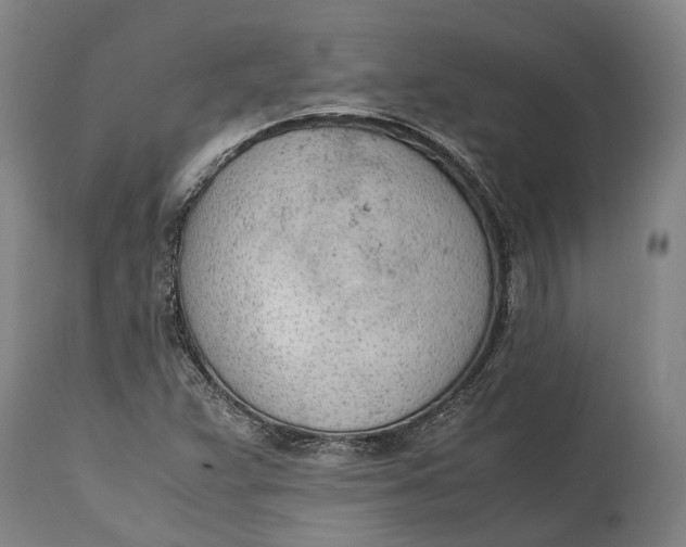 X0000114601359200911161344