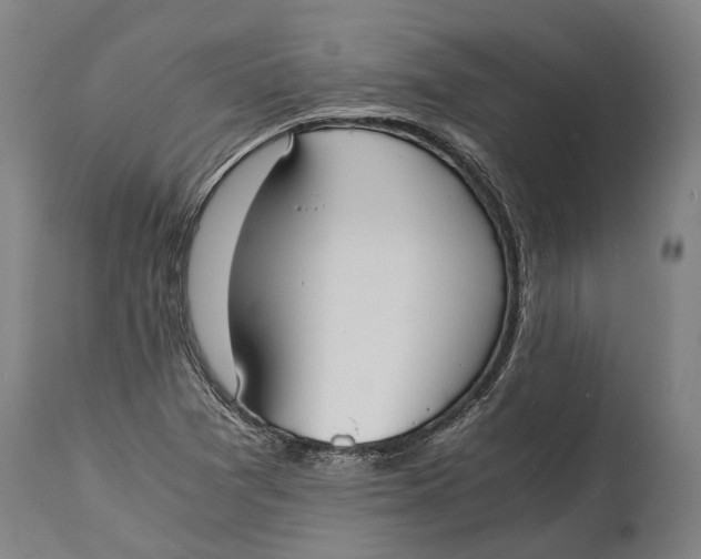 X0000114601361200911161344