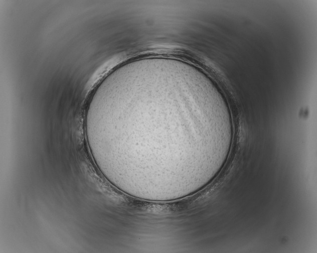 X0000114601362200911161344