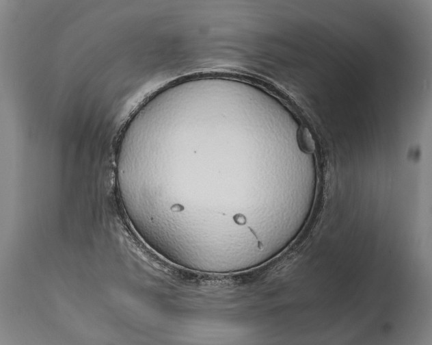 X0000114601363200911161344