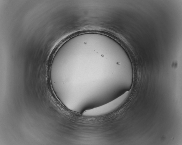 X0000114601364200911161344