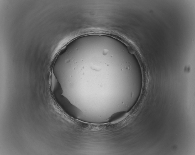 X0000114601365200911161344