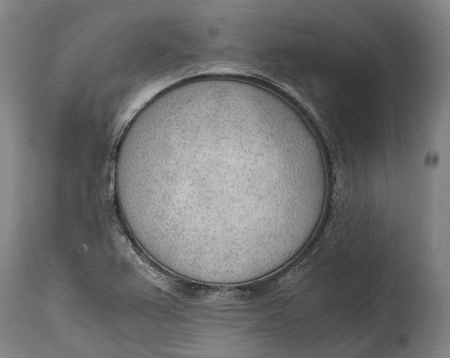 X0000114601367200911161344