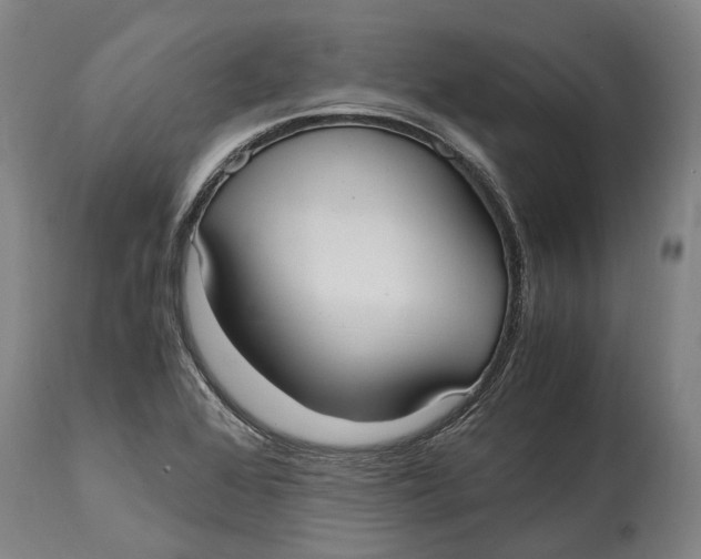 X0000114601368200911161344