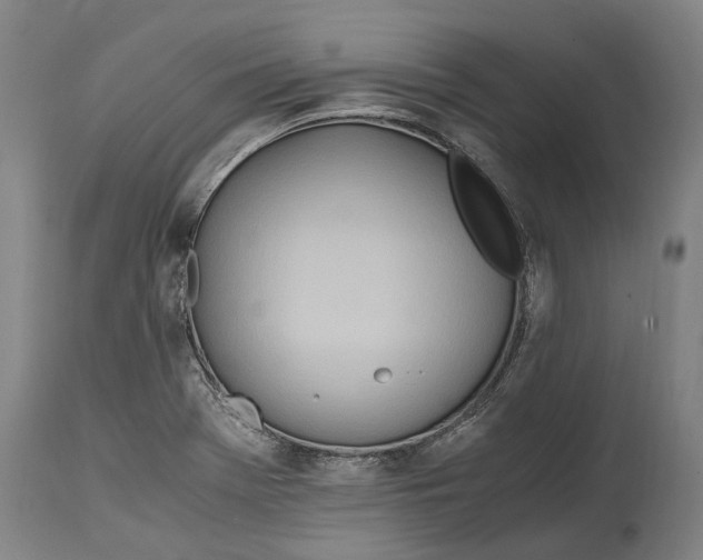 X0000114601369200911161344