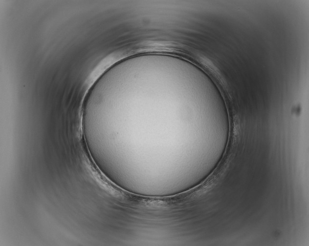 X0000114601370200911161344