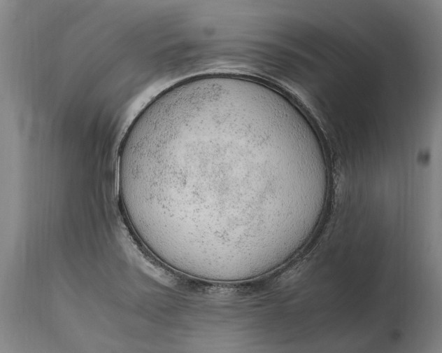 X0000114601371200911161344