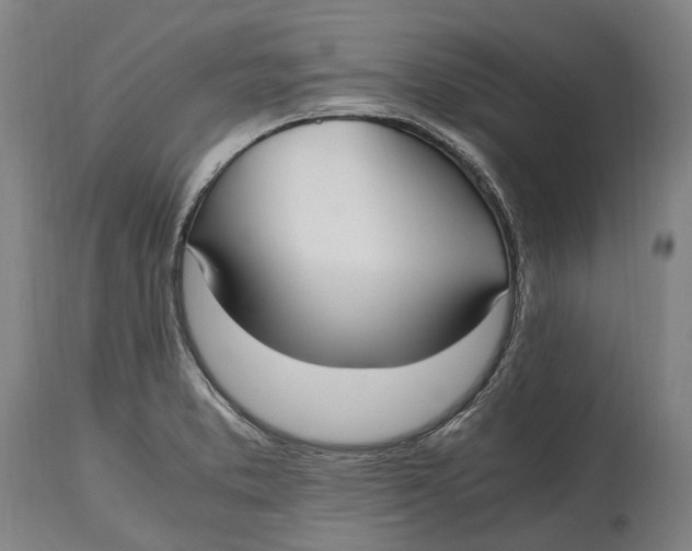 X0000114601373200911161344