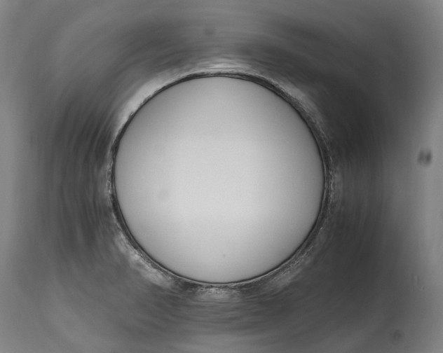 X0000114601374200911161344