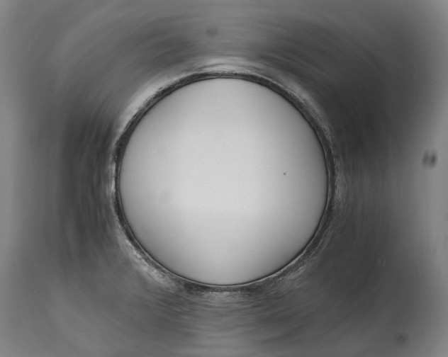 X0000114601376200911161344