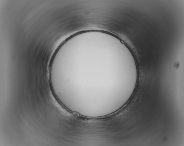 X0000114601380200911161344