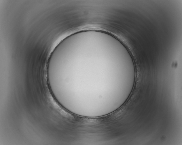 X0000114601382200911161344