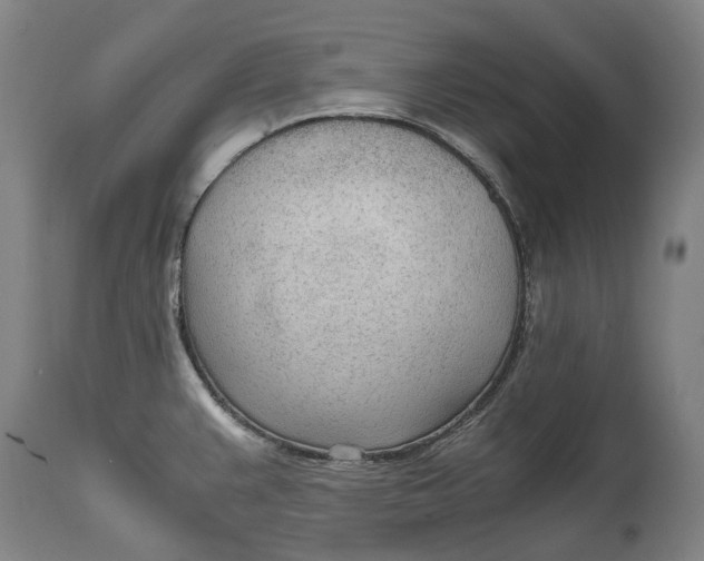 X0000114601383200911161344