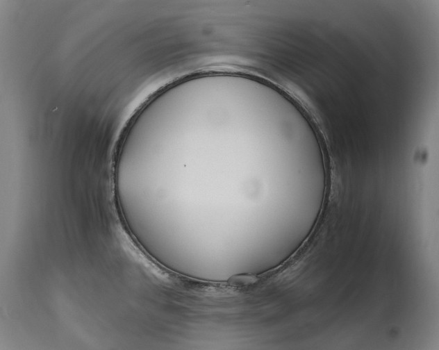 X0000114601384200911161344