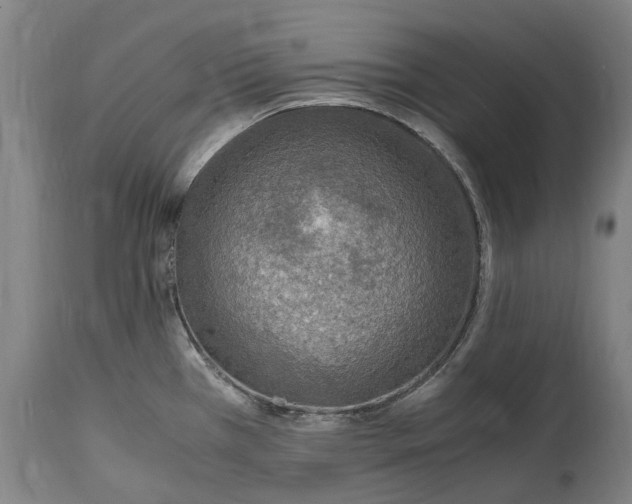 X0000114601385200911161344