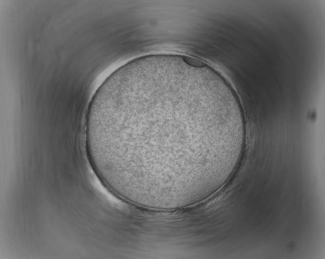 X0000114601387200911161344