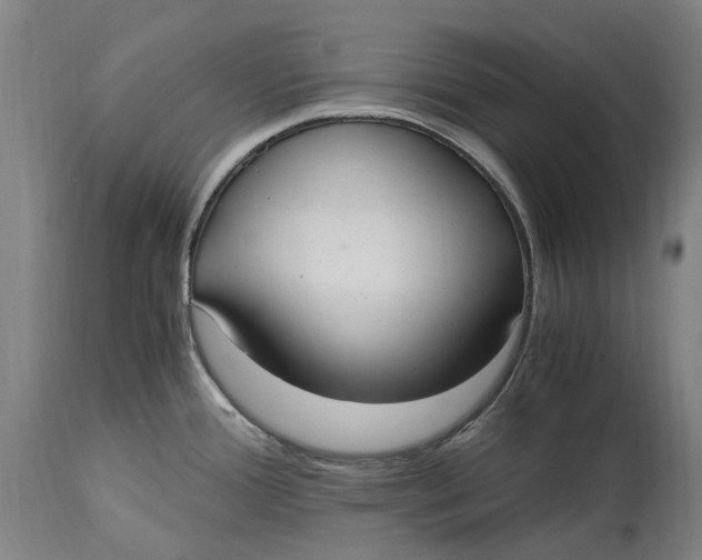 X0000114601388200911161344