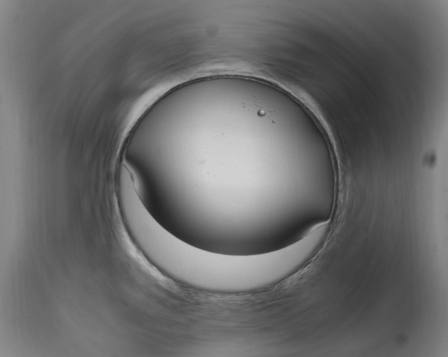 X0000114601389200911161344