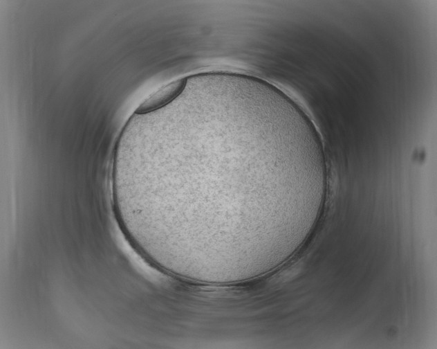 X0000114601391200911161344