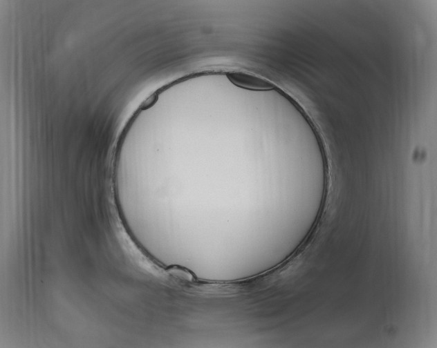 X0000114601392200911161344