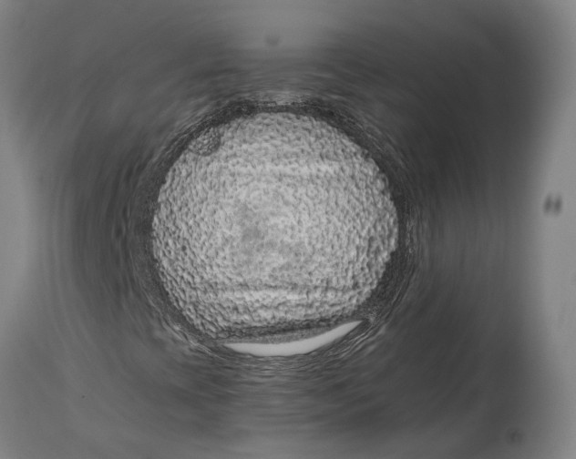 X0000114601393200911161343