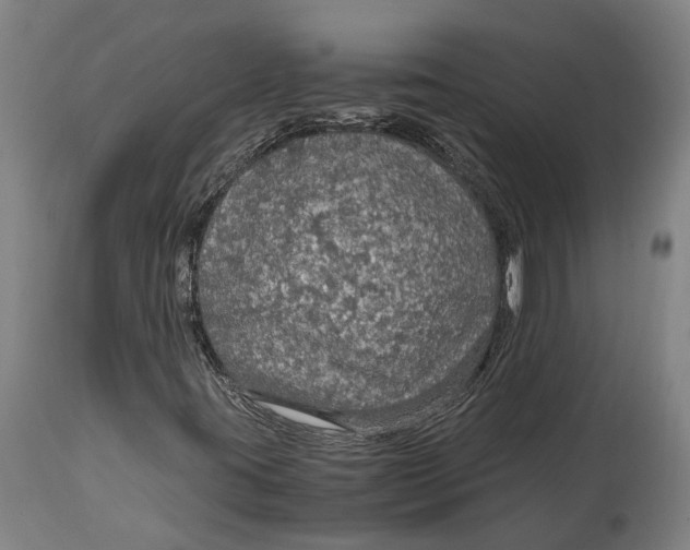 X0000114601395200911161343