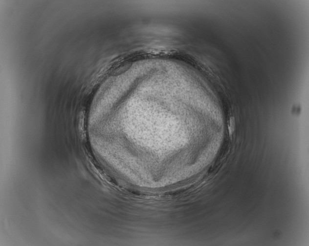 X0000114601396200911161343