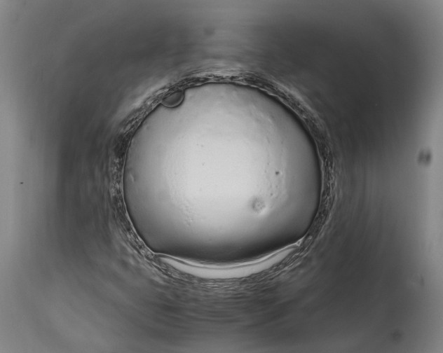 X0000114601399200911161343