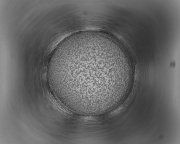 X0000114601401200911161343