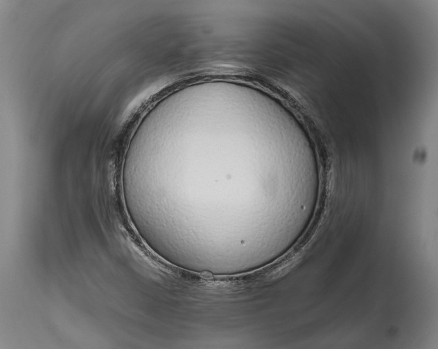 X0000114601402200911161343