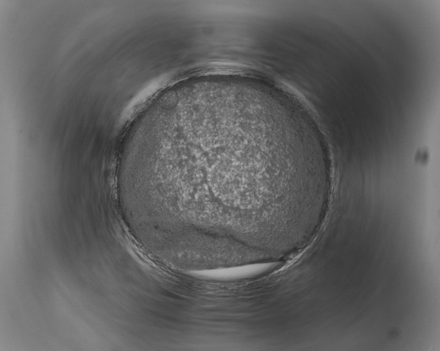 X0000114601403200911161343