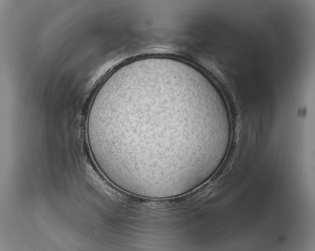 X0000114601404200911161343