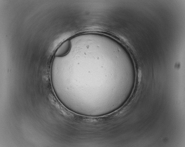 X0000114601405200911161343