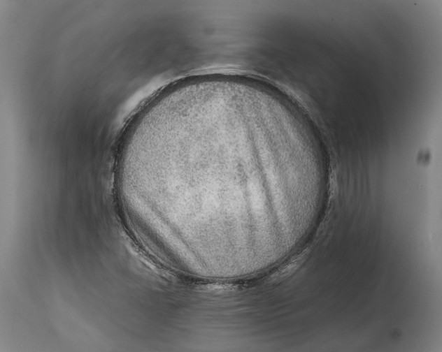 X0000114601406200911161343