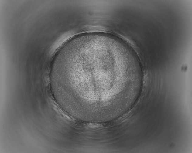 X0000114601407200911161343