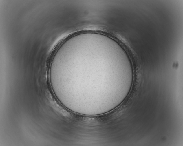 X0000114601408200911161343