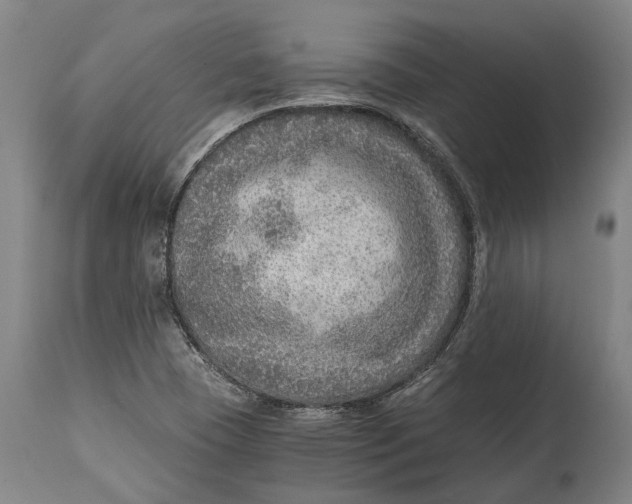 X0000114601409200911161343