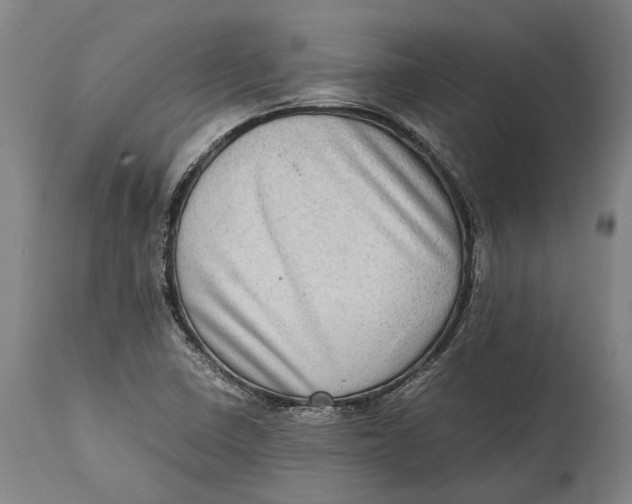 X0000114601410200911161343