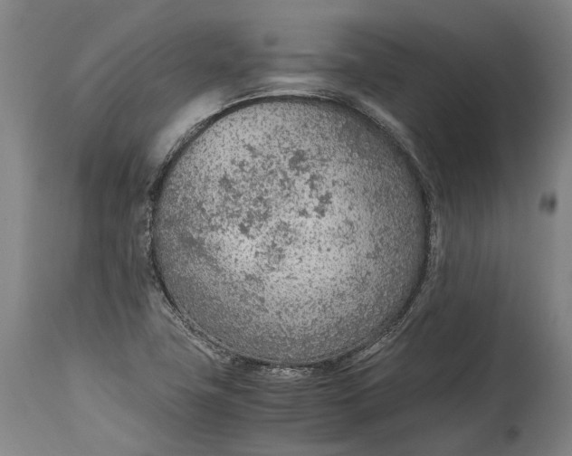 X0000114601411200911161343