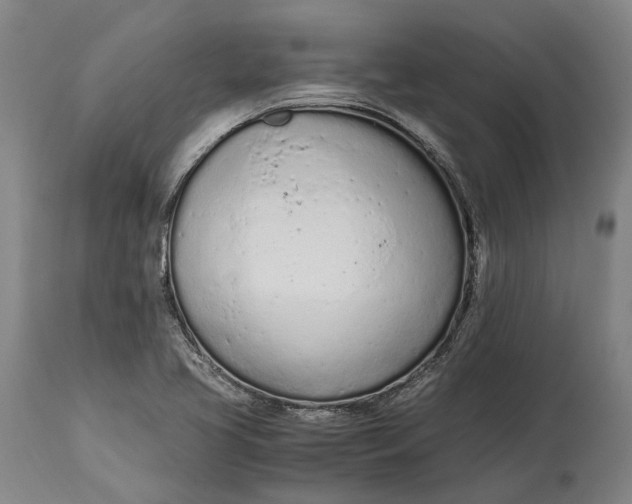 X0000114601413200911161343