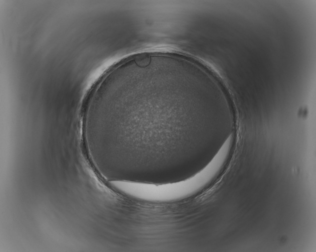 X0000114601414200911161343