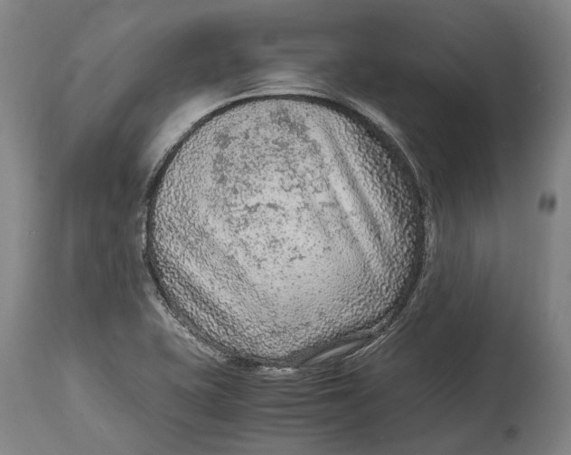 X0000114601415200911161343