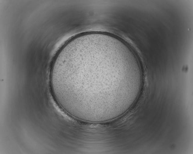 X0000114601416200911161343