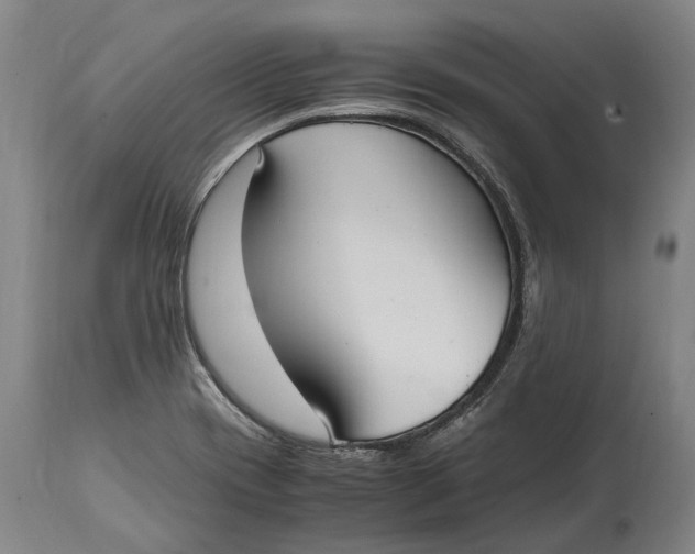 X0000114601417200911161343