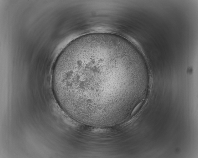 X0000114601419200911161343